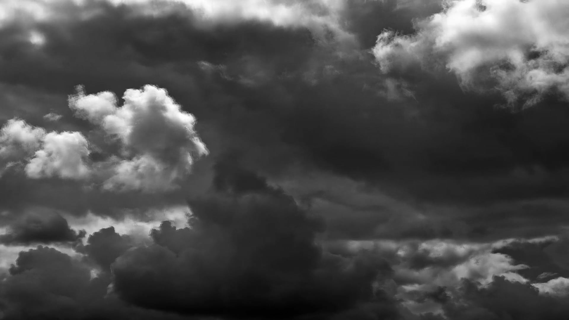 Lucid Dreams of the Blue Crocodiles thumbnail